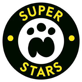 N Stars Superstars